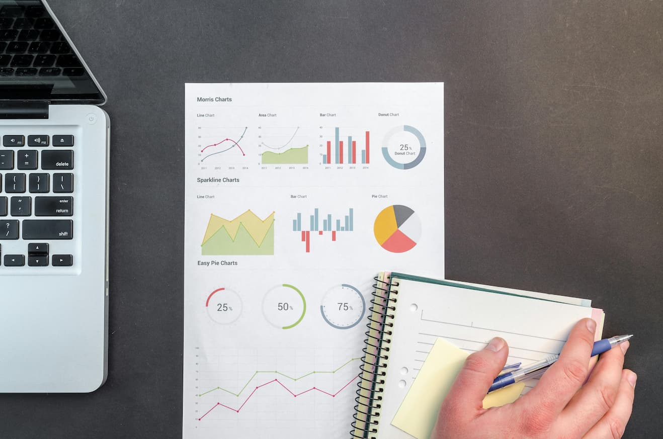 Data Analyst