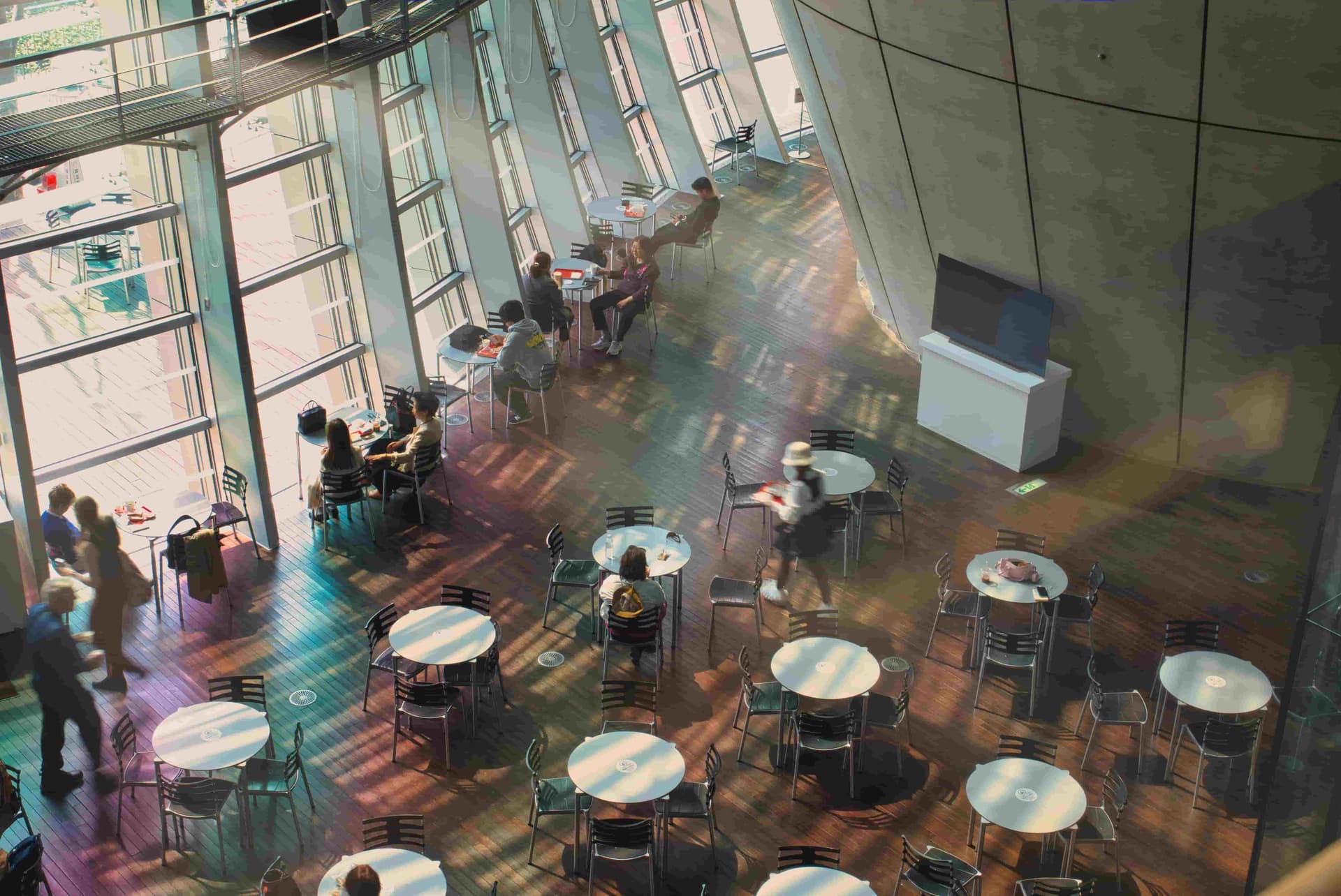 People using the internet together in a cafe.